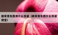 搬家寄东西用什么快递（搬家寄东西什么快递便宜）