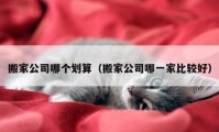 搬家公司哪个划算（搬家公司哪一家比较好）