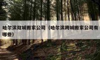 哈尔滨双城搬家公司（哈尔滨跨城搬家公司有哪些）