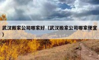 武汉搬家公司哪家好（武汉搬家公司哪家便宜）