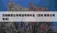 沈阳搬家公司电话号码大全（沈阳 搬家公司电话）