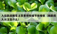 入住新房搬家注意事项和细节有哪些（搬新房入伙注意什么）