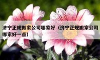 济宁正规搬家公司哪家好（济宁正规搬家公司哪家好一点）