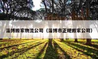 淄博搬家物流公司（淄博市正规搬家公司）