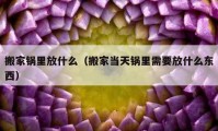 搬家锅里放什么（搬家当天锅里需要放什么东西）