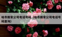 哈市搬家公司电话号码（哈市搬家公司电话号码查询）