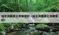 哈尔滨搬家公司哪家好（哈尔滨搬家公司哪家好）