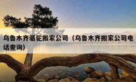 乌鲁木齐骆驼搬家公司（乌鲁木齐搬家公司电话查询）