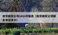 南京搬家公司24小时服务（南京搬家公司联系电话多少）