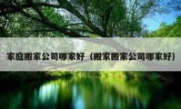 家庭搬家公司哪家好（搬家搬家公司哪家好）