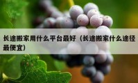 长途搬家用什么平台最好（长途搬家什么途径最便宜）