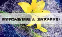 搬家拿枕头进门要说什么（搬家枕头的寓意）