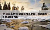 长途搬家1000公里费用多少钱（长途搬家2000公里费用）