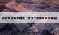 武汉长途搬家物流（武汉长途搬家公司电话）