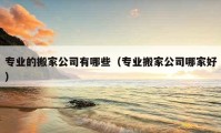 专业的搬家公司有哪些（专业搬家公司哪家好）