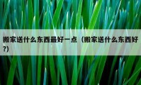 搬家送什么东西最好一点（搬家送什么东西好?）