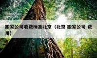 搬家公司收费标准北京（北京 搬家公司 费用）