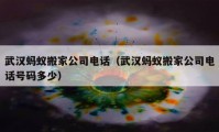 武汉蚂蚁搬家公司电话（武汉蚂蚁搬家公司电话号码多少）