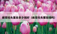 搬家枕头里放多少钱好（搬家枕头要放钱吗）