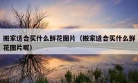 搬家适合买什么鲜花图片（搬家适合买什么鲜花图片呢）