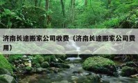 济南长途搬家公司收费（济南长途搬家公司费用）