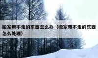 搬家带不走的东西怎么办（搬家带不走的东西怎么处理）