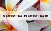 领导搬家送什么花（领导搬家送什么花好）