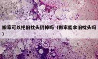 搬家可以把旧枕头扔掉吗（搬家能拿旧枕头吗）