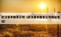 武汉易丰搬家公司（武汉易丰搬家公司地址电话）