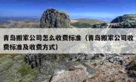 青岛搬家公司怎么收费标准（青岛搬家公司收费标准及收费方式）