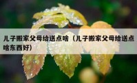 儿子搬家父母给送点啥（儿子搬家父母给送点啥东西好）