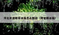 河北长途搬家冰箱怎么搬运（跨省搬冰箱）