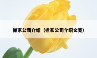 搬家公司介绍（搬家公司介绍文案）