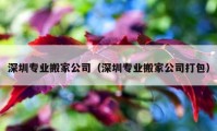 深圳专业搬家公司（深圳专业搬家公司打包）