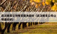 武汉搬家公司哪家服务最好（武汉搬家公司口碑最好的）