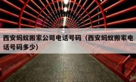 西安蚂蚁搬家公司电话号码（西安蚂蚁搬家电话号码多少）