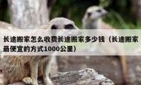 长途搬家怎么收费长途搬家多少钱（长途搬家最便宜的方式1000公里）