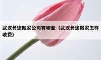 武汉长途搬家公司有哪些（武汉长途搬家怎样收费）