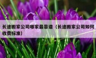 长途搬家公司哪家最靠谱（长途搬家公司如何收费标准）