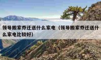 领导搬家乔迁送什么家电（领导搬家乔迁送什么家电比较好）