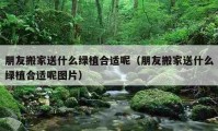 朋友搬家送什么绿植合适呢（朋友搬家送什么绿植合适呢图片）