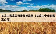 石家庄搬家公司排行榜最新（石家庄专业的搬家公司）