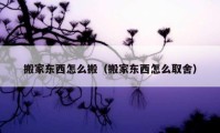 搬家东西怎么搬（搬家东西怎么取舍）