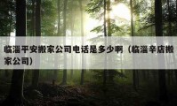 临淄平安搬家公司电话是多少啊（临淄辛店搬家公司）