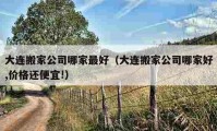 大连搬家公司哪家最好（大连搬家公司哪家好,价格还便宜!）