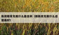 新房搬家先搬什么最吉利（搬新房先搬什么进屋最好）