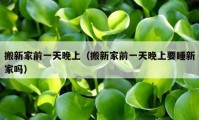 搬新家前一天晚上（搬新家前一天晚上要睡新家吗）