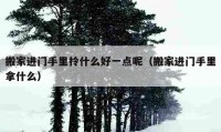 搬家进门手里拎什么好一点呢（搬家进门手里拿什么）