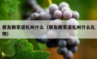 朋友搬家送礼叫什么（朋友搬家送礼叫什么礼物）