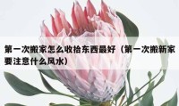 第一次搬家怎么收拾东西最好（第一次搬新家要注意什么风水）